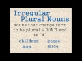 Possessive Forms and Plural Nouns