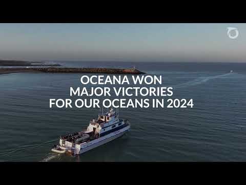 2024: A Year in Review | Oceana