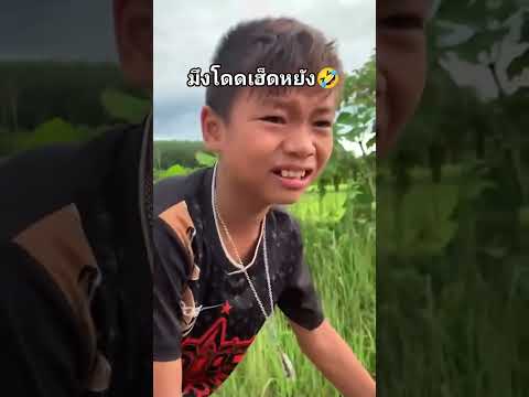โดดเพื่อ🤣🤣🤣