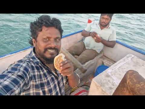இரவு 12 மணிக்கு செம காத்து மீன் பிடிக்க போறம் பழைய கஞ்சி குடிக்குறான்