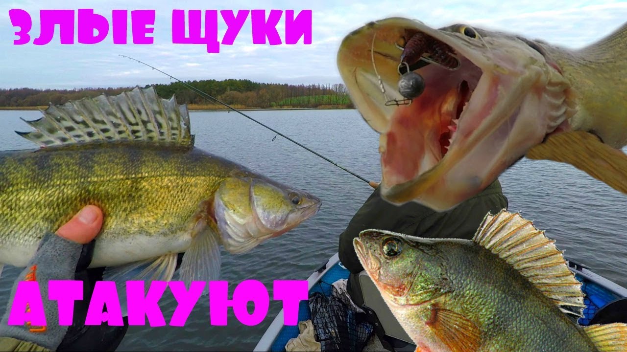 ТАКИХ ЗЛЫХ ЩУК, ОГРОМНЫХ ОКУНЕЙ С СУДАКАМИ МЫ НЕ ОЖИДАЛИ Зимний спиннинг Рыбалка с Михалычем