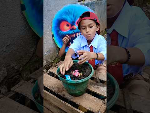 Adek tanam gula gula