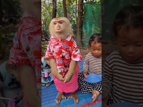 Best YaYa dancing activity