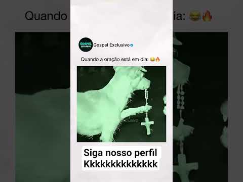 siga nosso perfil kkkkkkk