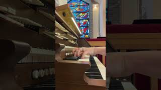 O Gott, Du Frommer Gott! #music #organ #fyp #bach #shorts