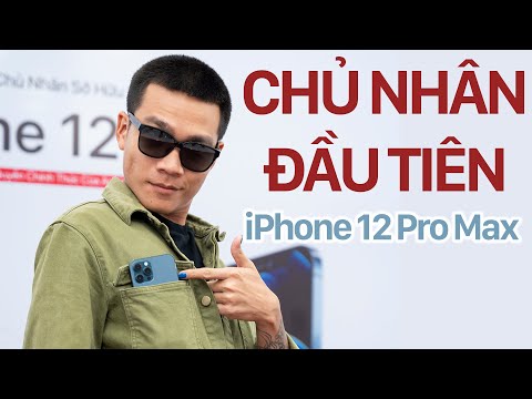 (VIETNAMESE) WOWY mở hộp iPhone 12 Pro Max đầu tiên tại Di Động Việt