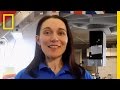 Biology and Sustainability in Space