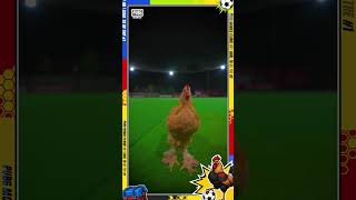 Peelu The Chicken Predictor | Uzbekistan vs Portugal | PUBG MOBILE Pakistan Offical