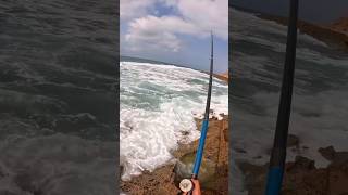 تقنية ممتعة و حصيلة وفيرة بطعم البيلوطة 🎣🔥PART 4 #صيد_السمك  #البيلوطة #fishing