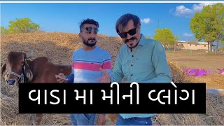 Mini Vlog ગામડુ  || vijlobhuro || Gujarti || vlog ||