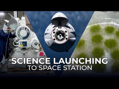 Science Launching on SpaceX's 31st Cargo Resupply Mission to the Space Station