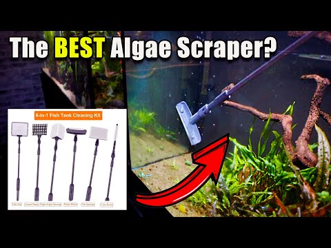 A Surprisingly Good Value! Hygger Algae Scraper Review