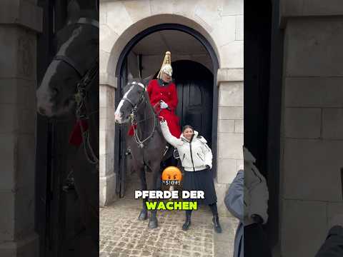 Warum Sie die Pferde der Wachen nicht berühren sollten 🐎
