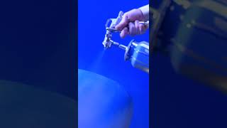 Jaguar | Bold Expression​​