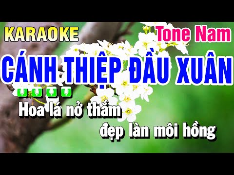 Karaoke Cánh Thiệp Đầu Xuân Tone Nam | Beat 2025