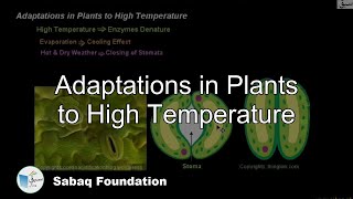 Adaptations in Plants to High Temperature