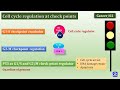 Cell Cycle Regulation in Cancer