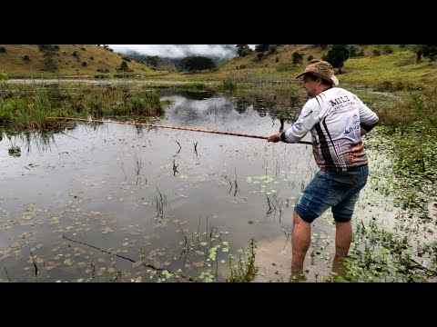 Parecia ser mais uma pescaria frustrada quando de repente os peixes começaram a puxar sem parar