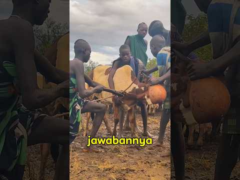 Darah sapi di minum? tradisi afrika selatan! #shorts