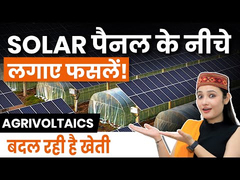 एक ज़मीन, दो कमाई! Agrivoltaics से खेती और बिजली दोनों | सोलर पैनल के नीचे फसलें उगाओ