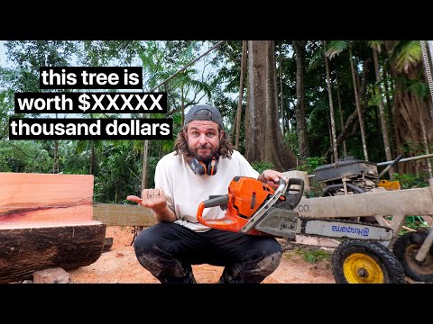 Is MILLING the timber on my OFF-GRID property worth it? - you'll be surprised