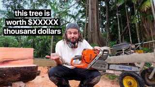 Is MILLING the timber on my OFF-GRID property worth it? - you'll be surprised