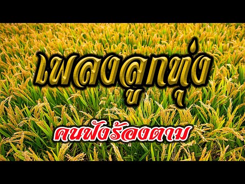 เพลงลูกทุ่ง คนฟังร้องตาม
