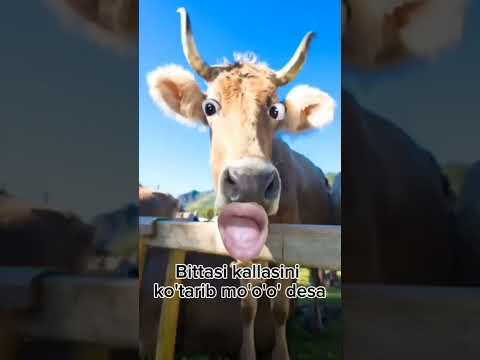 5 марта 2025 г.