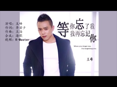 王峰 《等你忘了我我再忘记你》KTV 导唱字幕 （备有伴奏视频）