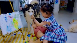 주인이 위기에 처했다면 허스키 반응은?!?!?
