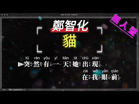 鄭智化 – 貓 —消除人聲版—KTV字幕+Mandarin+Pinyin