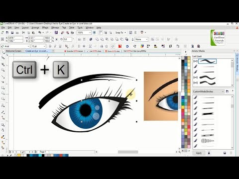 Learn corel draw with cdtfb --- corel free tutorials