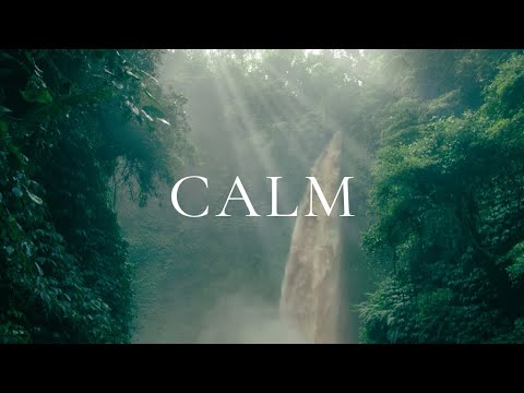 Relaxing Music for Stress Relief, Calm, Study | Beautiful Nature &amp; Water Sounds