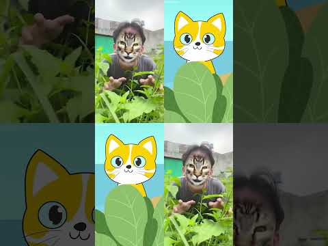 @MakanMania