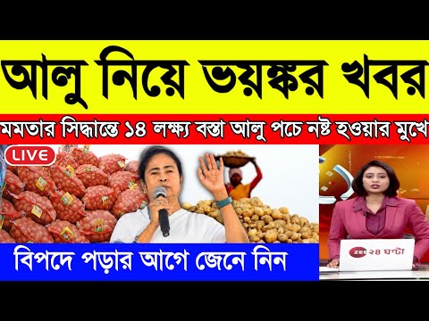 আজকের আলুর বাজার মূল্য ! india potato news West bangal ! Potato price today West Bengal