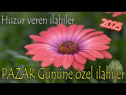 🎶En Güzel İlahiler💐Karışık Ağlatan İlahiler🌹Pazar Gününe Özel İlahiler💐Yeni İlahiler🌹İlahi Dinle🎶