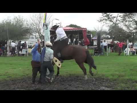 Jineteadas de Caballos Clina Limpia Curuzú Cuatiá 5/5/24