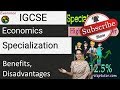 Specialization and Economic Efficiency