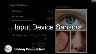 Input  sensors