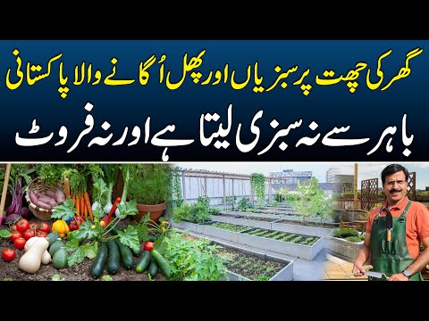 Ghar Ki Chat (Roof) Per Sabzian Aur Phal Ugane Wala Pakistani | Kitchen Gardening Ideas | News Alert