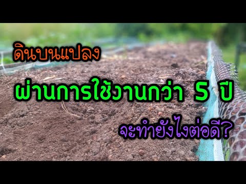 ดินบนแปลงผ่านการใช้งานกว่า5ปีจะทำยังไงต่อดี