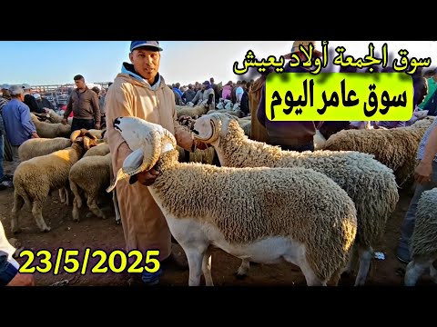 مباشرة من سوق الجمعة أولاد يعيش إقليم بني ملال الحولي والحولية والنعجة تاريخ 23/5/2025 فرجة ممتعة 🐑🐏