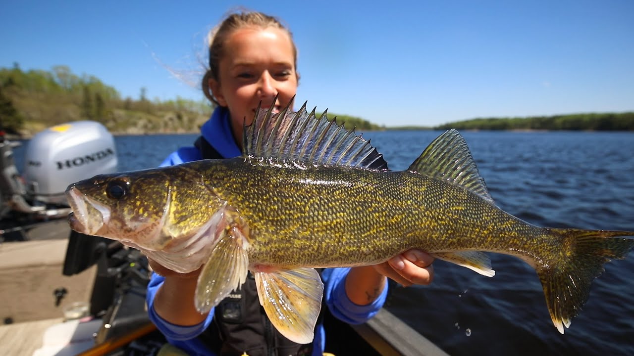 Walleye Showdown - Artificial Vs Live Bait - Jay Siemens