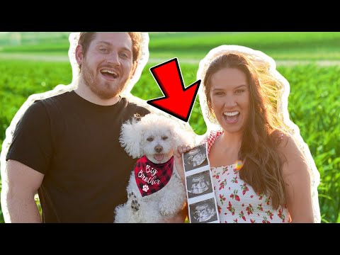 PREGNANT After 3 Miscarriages!