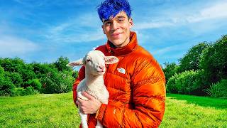 ADOPTÉ una OVEJA BEBÉ en Casa!