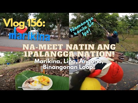 Vlog 156: Dumayo tayo para manguha ng mangga! Na-meet din natin si 1Palangga Nation!