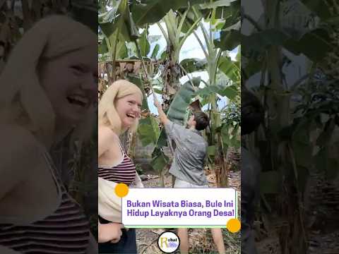 Bukan Wisata Biasa, Bule ini beraktifitas Layaknya Penduduk Desa