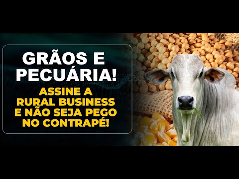 GRÃOS E  PECUÁRIA! ASSINE A RURAL BUSINESS E NÃO SEJA PEGO NO CONTRAPÉ!