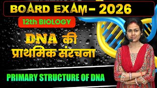 Primary Structure of DNA | DNA की प्राथमिक संरचना | आसान भाषा में | BY NANDANAI MA'AM