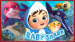 Baby Shark’s Big Adventure | Kids Nursery Rhyme | Kids Songs | Banana Cartoon #nurseryrhymes